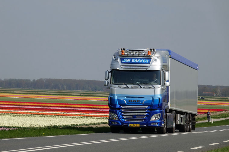 Transporte e Montagem